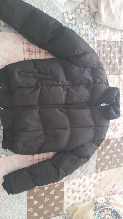 Kispo quente de penas