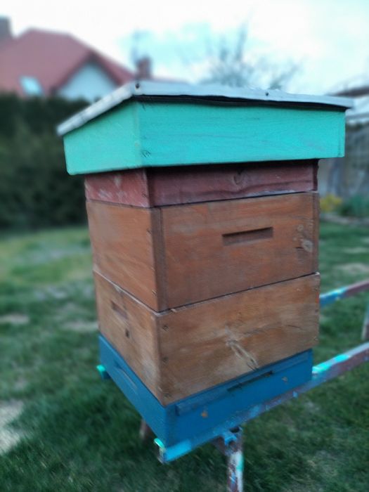 Ule wielkopolskie drewniane jednościenny