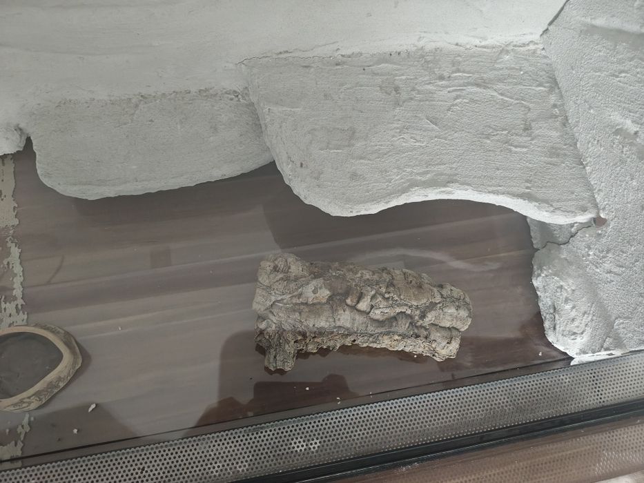 Terrarium 100 ×40×40