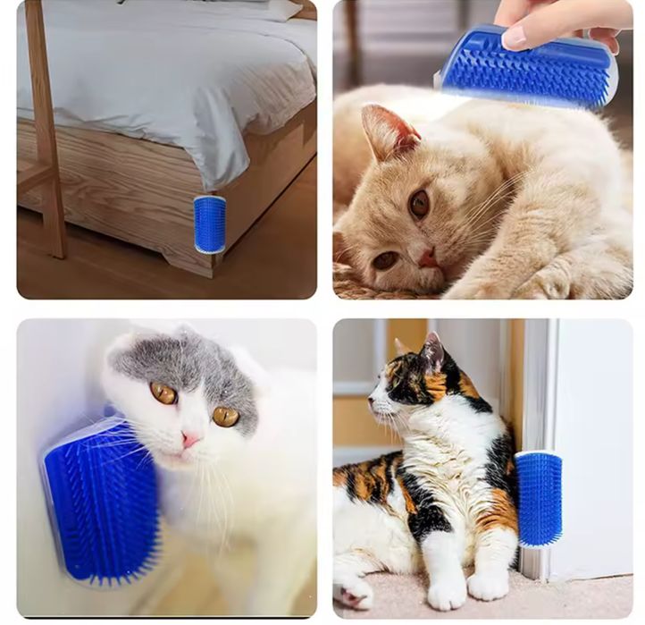 щётка Кошки животных