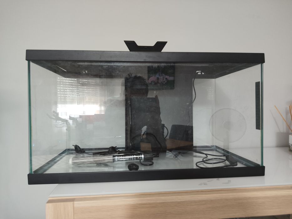 Aquário para peixes  54L