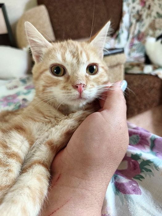 Хлопчик, 4,5 місяці