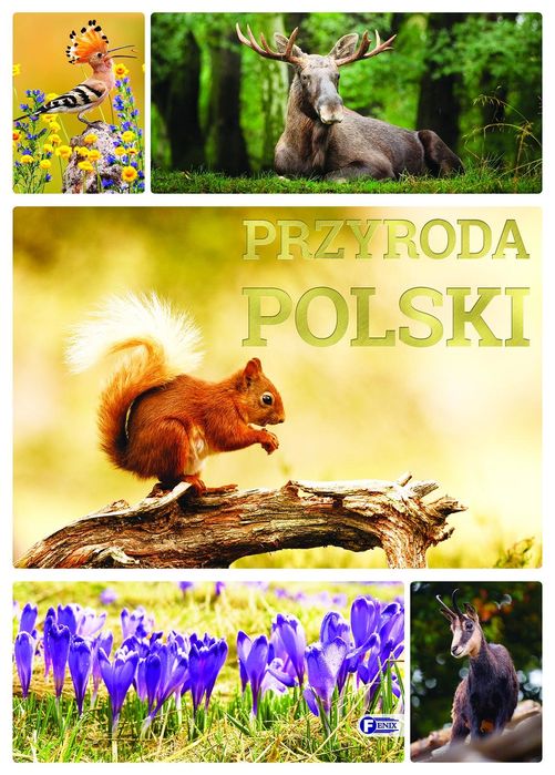 Przyroda Polski. Fenix
