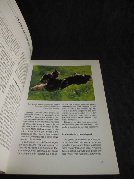 Livro O Caniche Katrin Behrend Colecção Habitat