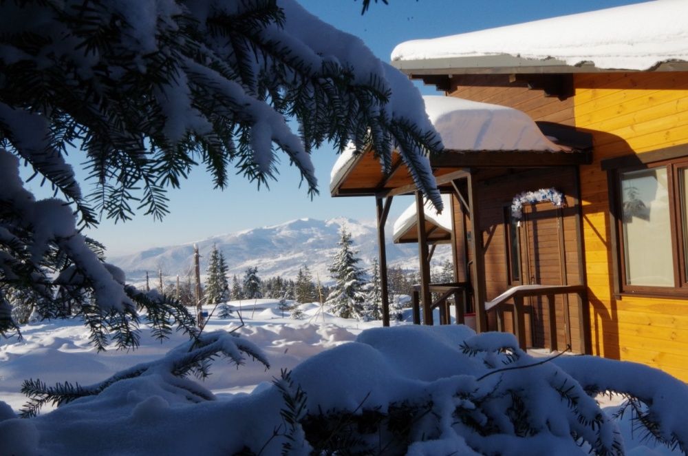 Відпочинок в Карпатах Буковель Яблуниця