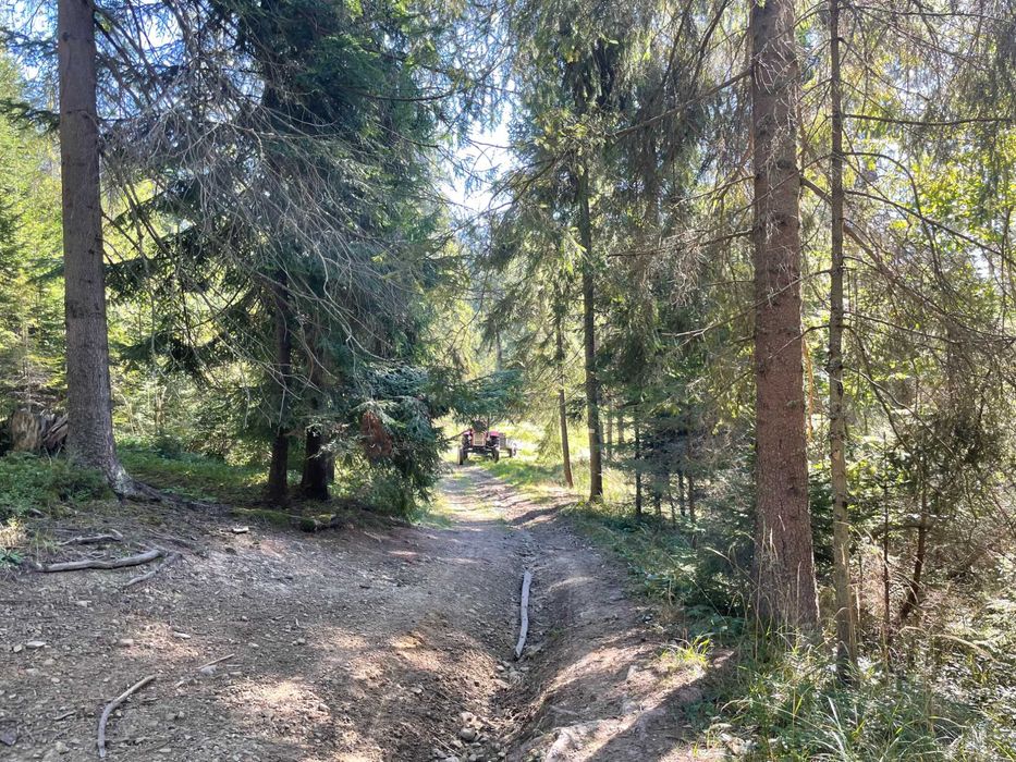 Działki leśne - 33a i 12a - Lipnica Wielka Centrum - łatwa obsługa