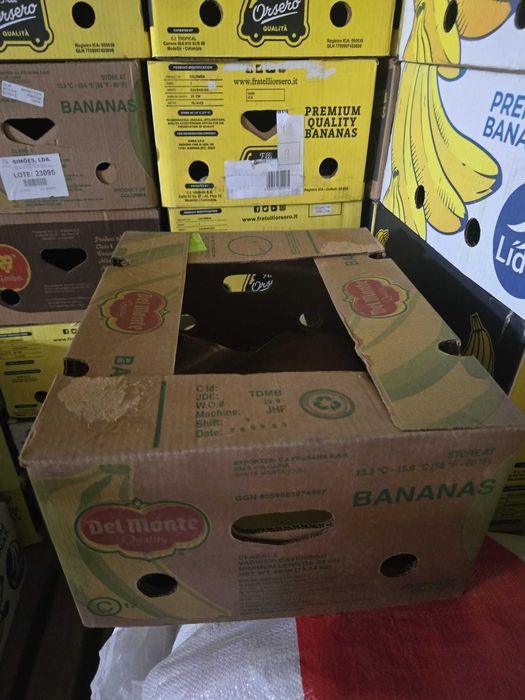 Caixas de arrumação/mudanças64280866194947122