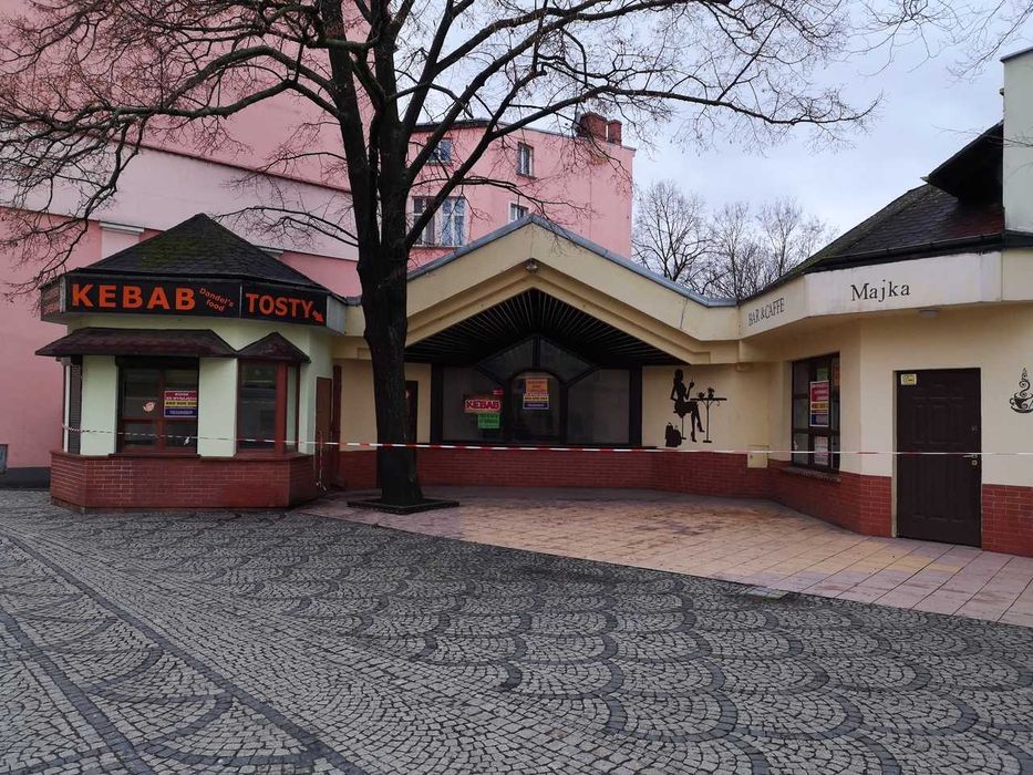 Do wynajęcia atrakcyjne lokale komercyjne z ogródkiem 88 m² – Jelenia Góra, Deptak (ul. 1 Maja 37)