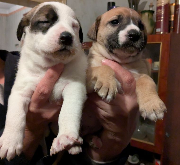 Возьмите ребенка в семью