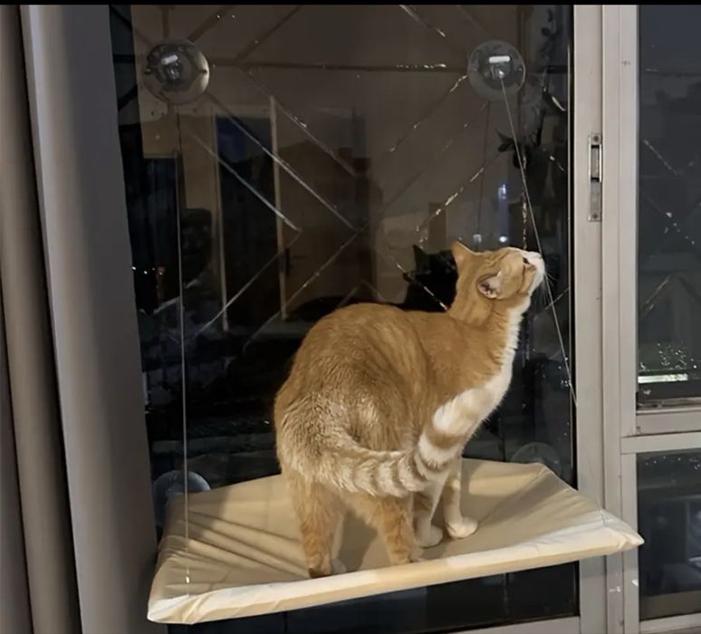 Cama de rede para gato na janela, nova e sem uso!