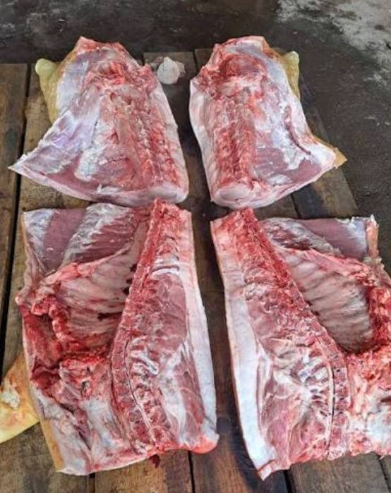 Продам домашні свинину