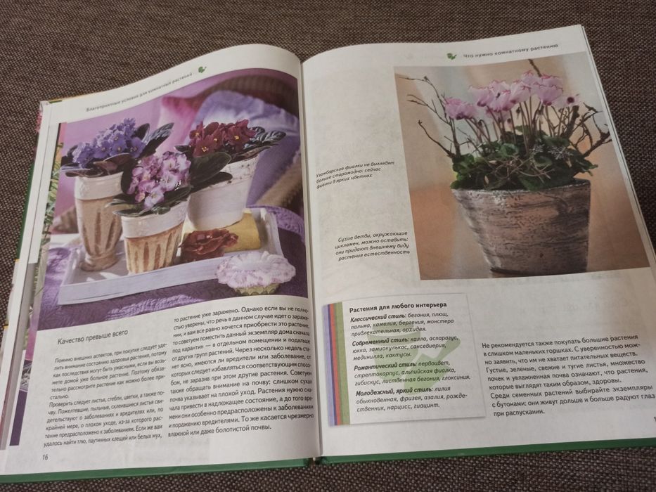 Всё о комнатных растениях велика книга про квіти