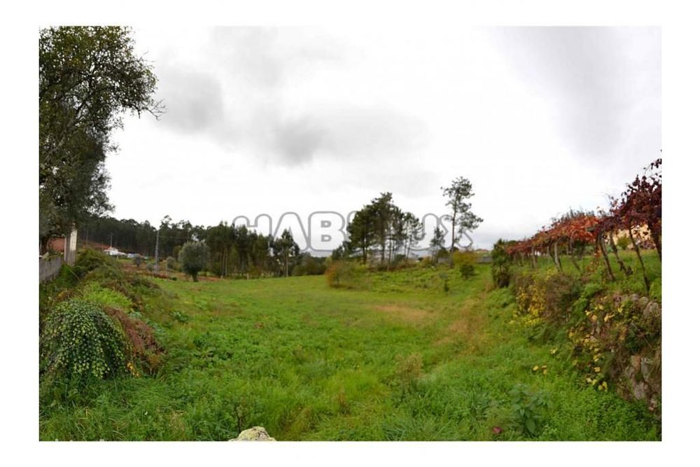 Terreno para Construção em Vila Franca — Vila Franca, Viana do Castelo