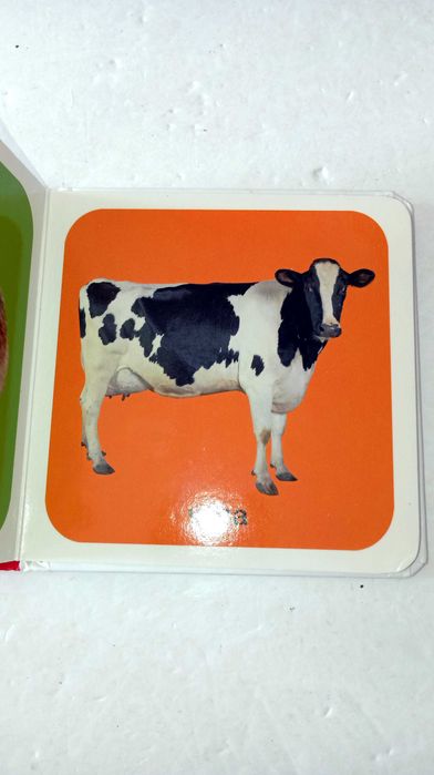 Animais - Livros para bebés