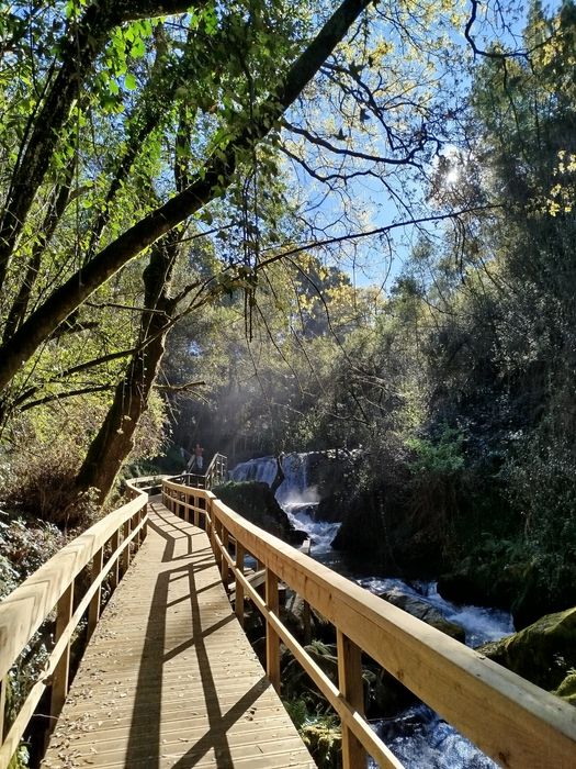 Quinta com casa antiga 7000m2 Pindelo