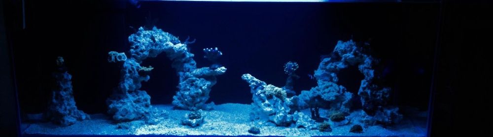 Aquaforest Calcium 850 g do akwarium morskiego Sklep Turkusowe Zoo