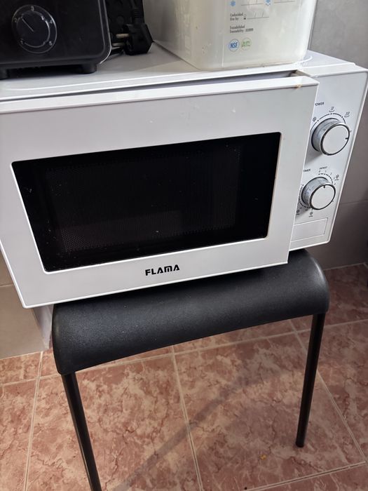 Microondas Flama