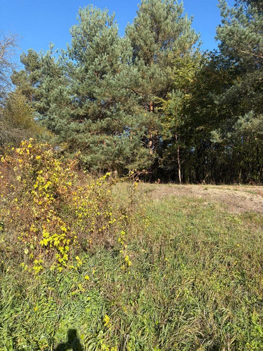 Wyjątkowa działka nad rzeką Wilgą– 29 Arów spokoju i natury, Zaledwie 60 KM OD WARSZAWY! - Widok 4