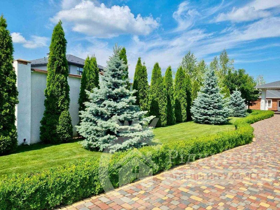 Елітний будинок з власним озером і басейном Козин  . Без комісії