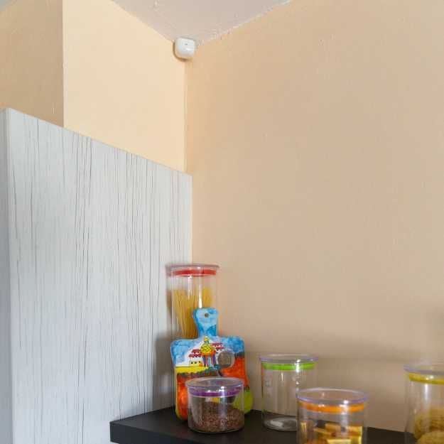 Módulo Wi-Fi Shelly Plus 1PM,2PM,i4 DC,Add-on,Wall Switch, BLU, Plug S64585544365699124