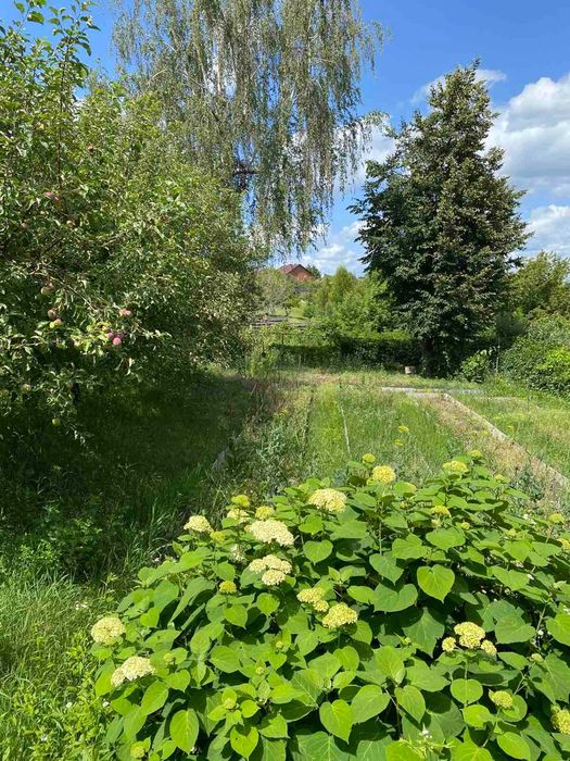 Будинок 132 кв м ділянка 10 сот 72 000 (169102)