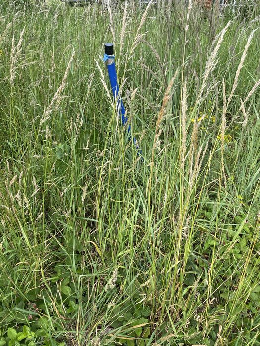 Działka budowlana w Jodłowniku koło Bielawy