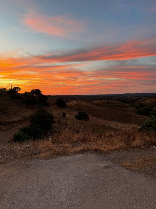 Moriada para Venda T1