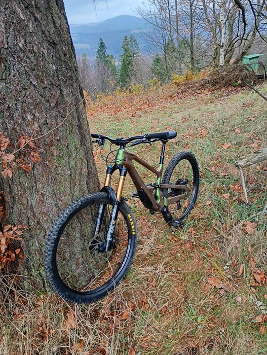 Cannondale jekyll 1 enduro