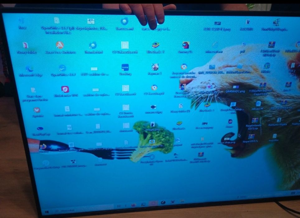 Monitor przemysłowy 50 cali