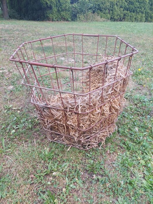 Stara butla na wino z koszem