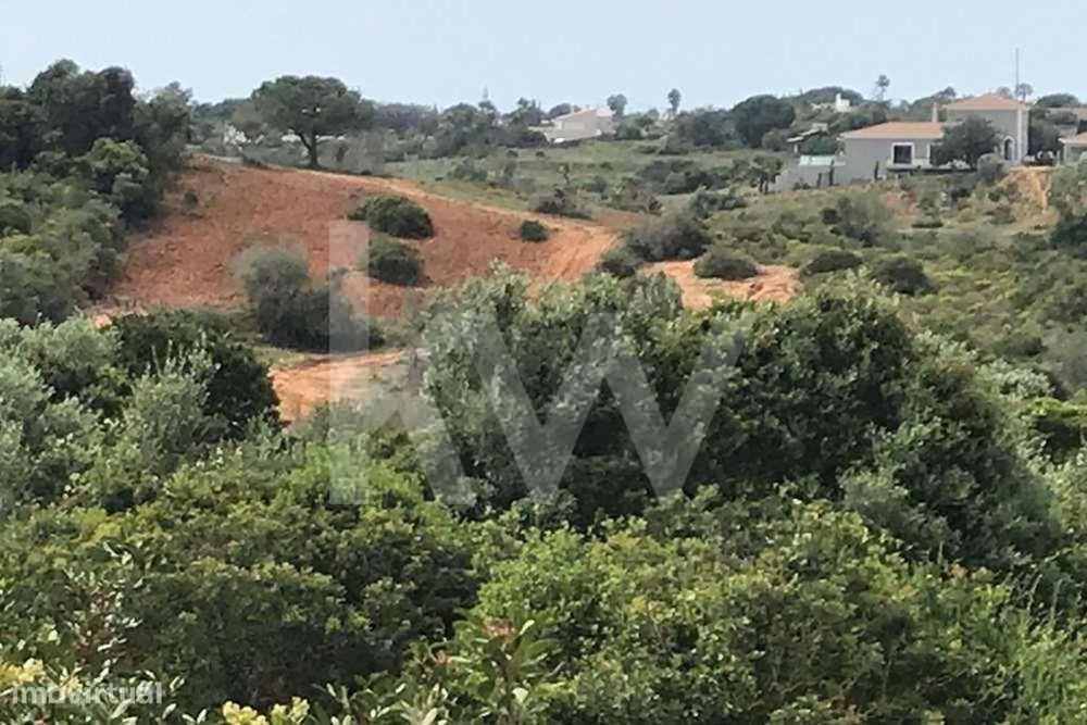 Unique Opportunity! Rustic Plot of 34,370 m² in Porches Velho with C