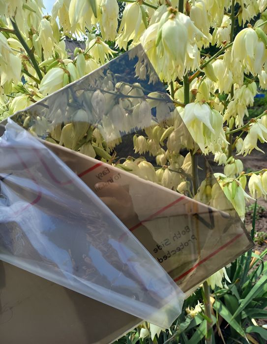 Оргскло під розмір  Оргстекло Монолітний поликарбонат в размер Акрил