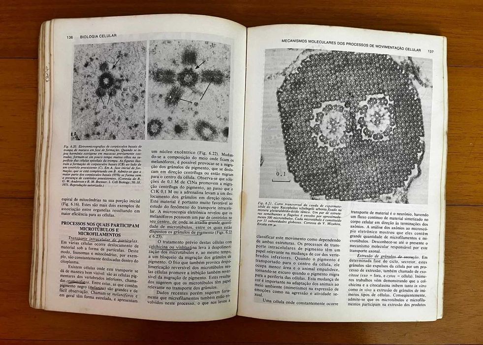 "Biologia Celular e Molecular" de Junqueira Carneiro