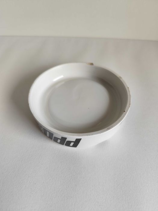 Cinzeiro PPD PSD política