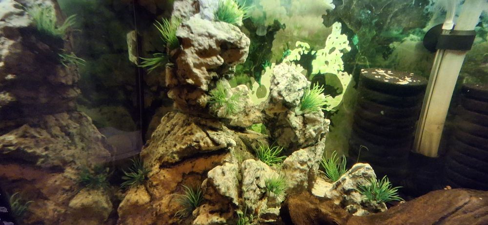 Sprzedam akwarium 70l