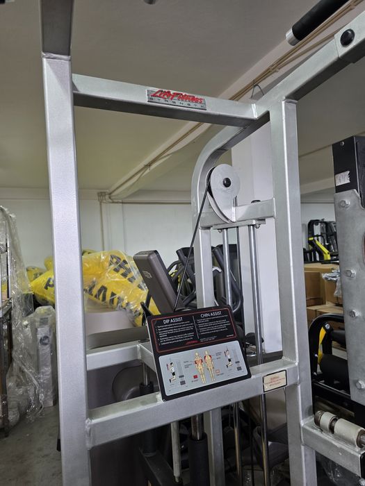 Life Fitness Easy Chin Dip