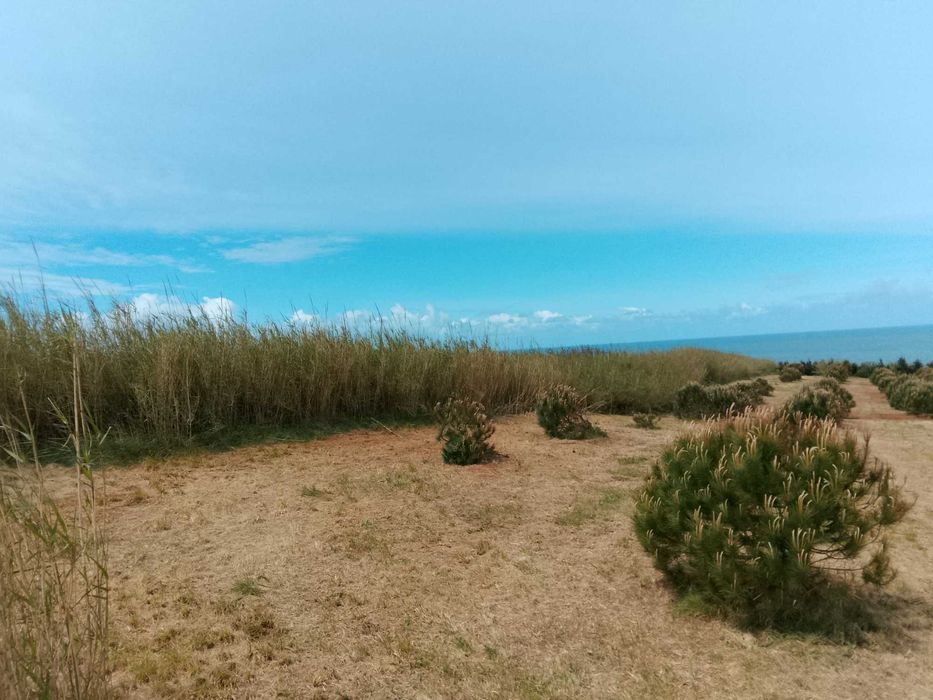 Terreno rústico na Serra do Bouro