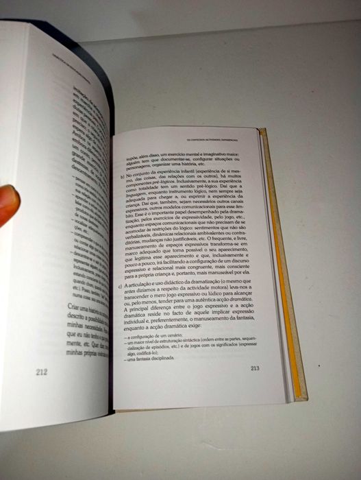 Didática da Educação Infantil