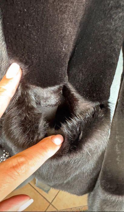 Casacos de pelo natural