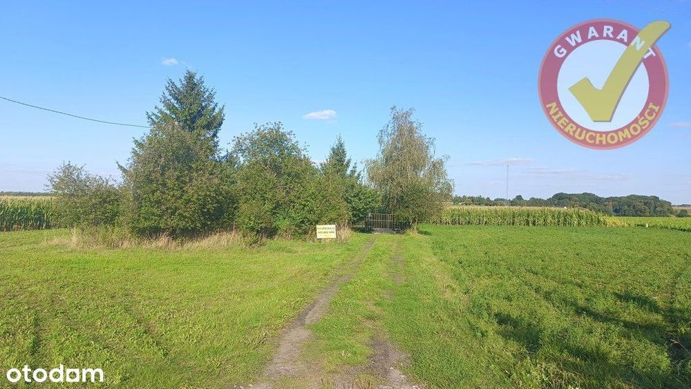 Okazja Dom Z Działką 3163M2 W Zamku Bierzgłowskim