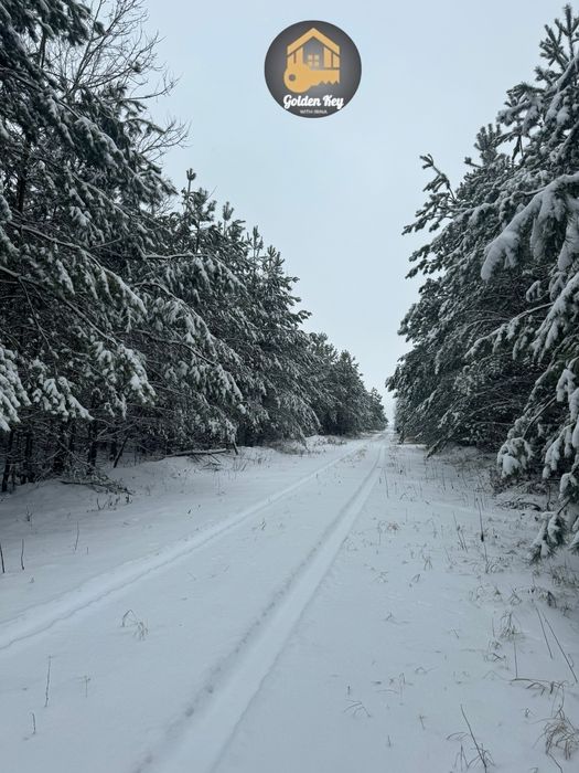 Продам Земельну Ділянку 8 соток , ЖК ЯСНИЙ, с.Ясногородка, ЛІС