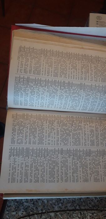 Dicionário de Língua Portuguesa Antigo