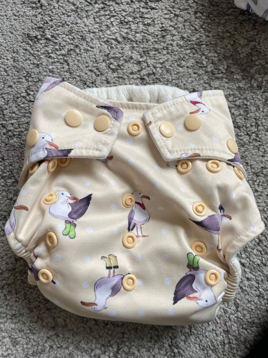 Fraldas reutilizáveis