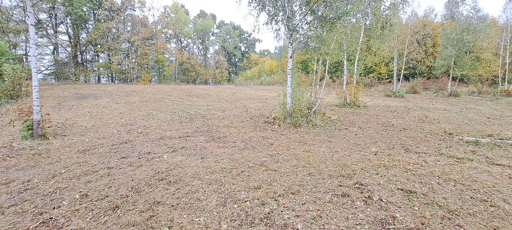 Koszenie nieużytków kosiarką bijakową  kosiarka bikakowa