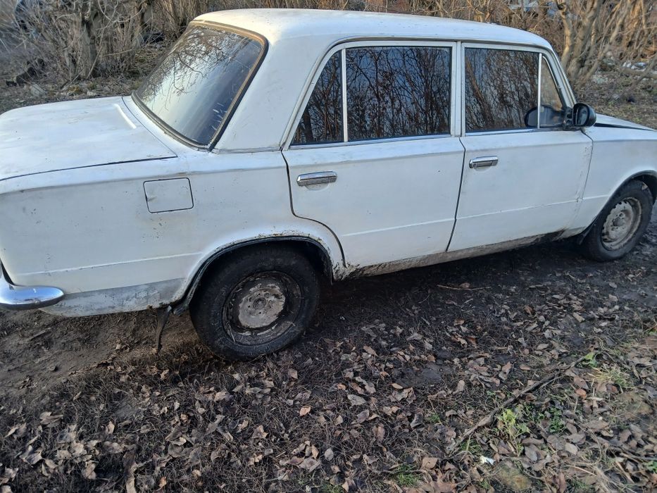 Продам заводиться йде трошки нада по у хаживать