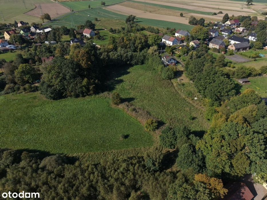 Działka 320 na sprzedaż, Łaziska 6200 m²! - Widok 2