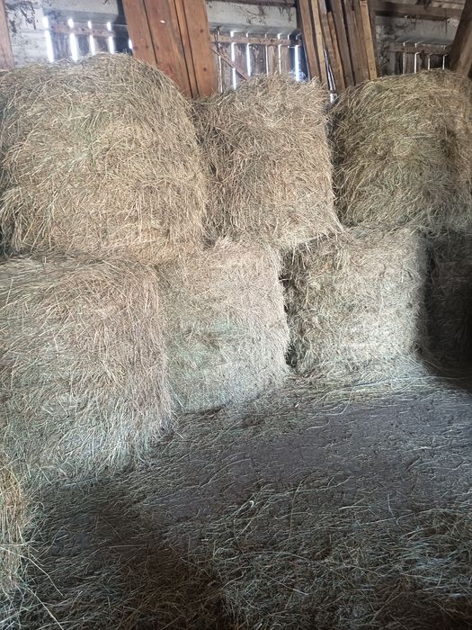 Sprzedam Siano Suche 120