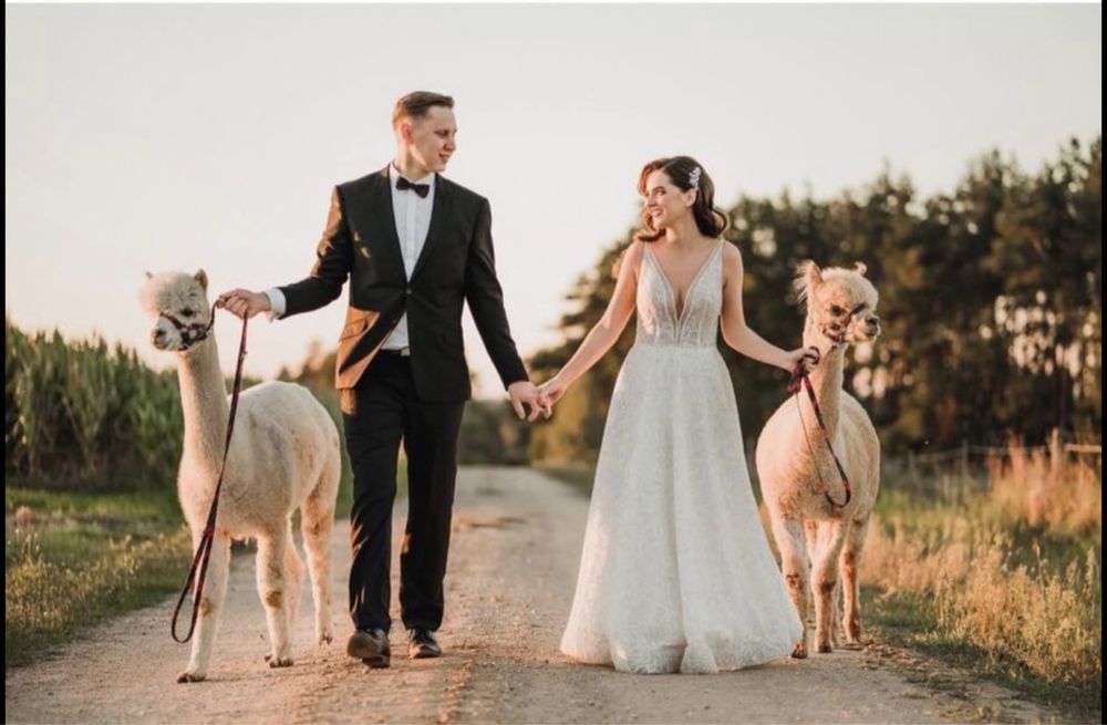 Suknia ślubna Pollardi/Regina