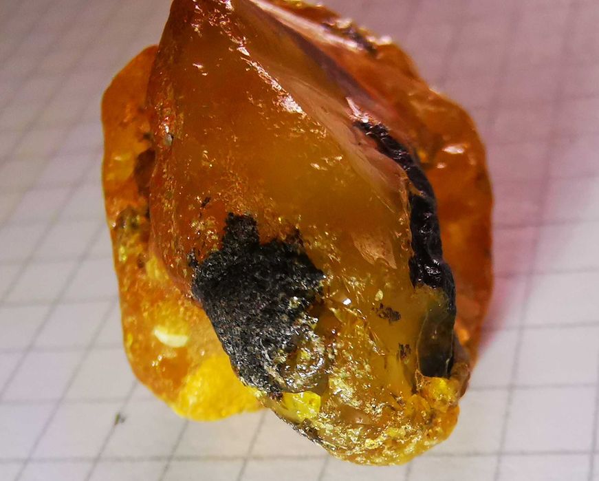 bursztyn bałtycki surowy kolekcjonerski  6,77 gr polski