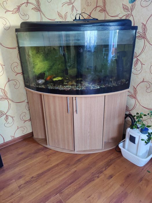 Акваріум 380 літрів
